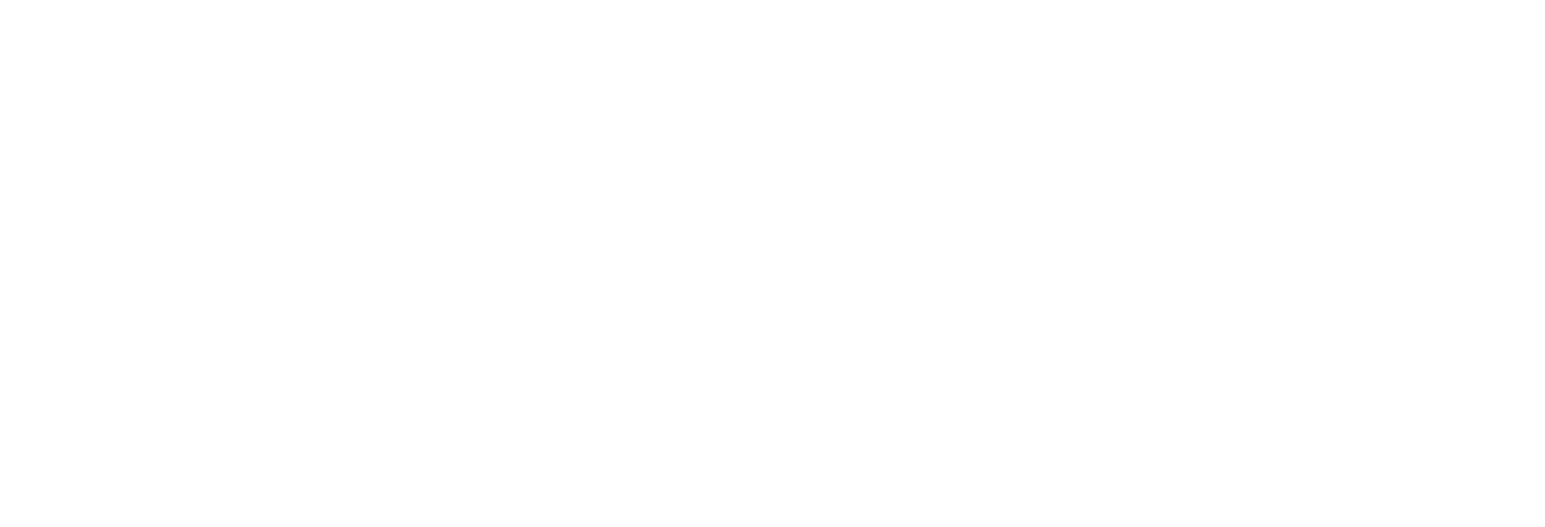 Shane Cross Gib Stopping logo